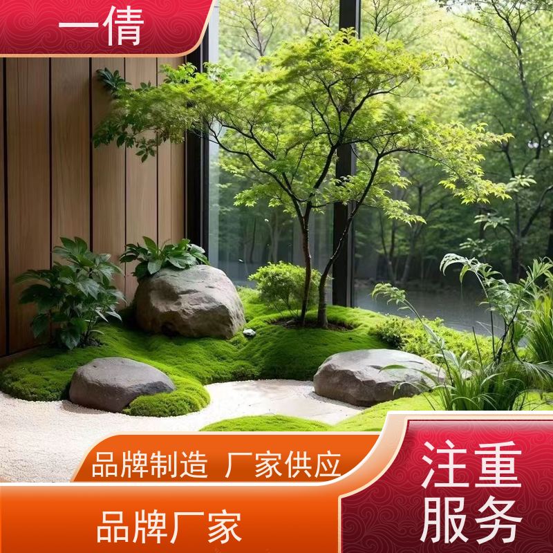 一倩花卉 深圳 保罗 绿植租摆 全城配送 上门养护