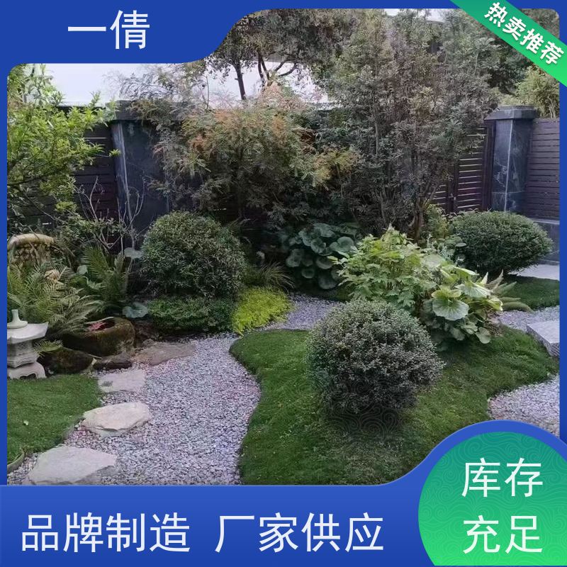 一倩花卉 办公室 如意 绿植租赁 桌面绿植 花木护理