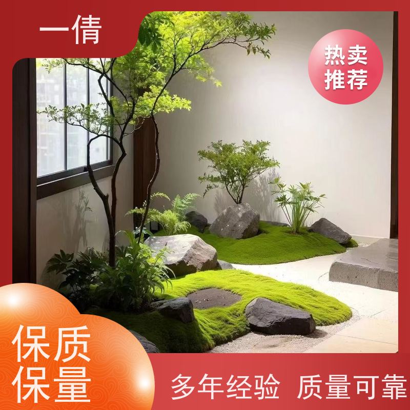 一倩花卉 室内 中杨贵妃 绿植租赁 全城配送 上门养护