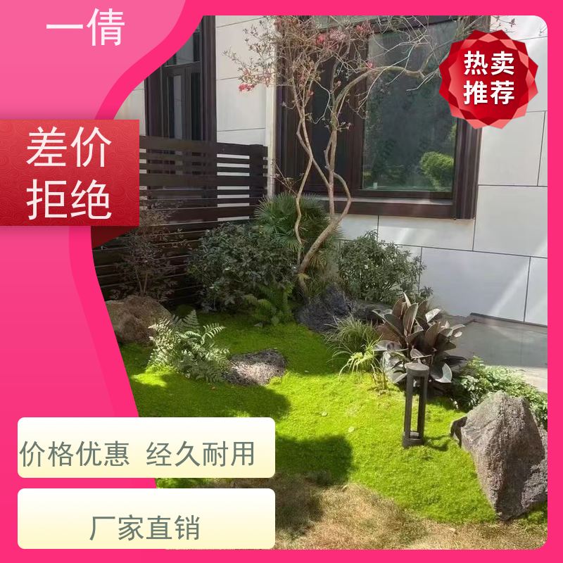 一倩花卉 室内 凤尾竹 开业花篮租赁 全城配送 上门养护