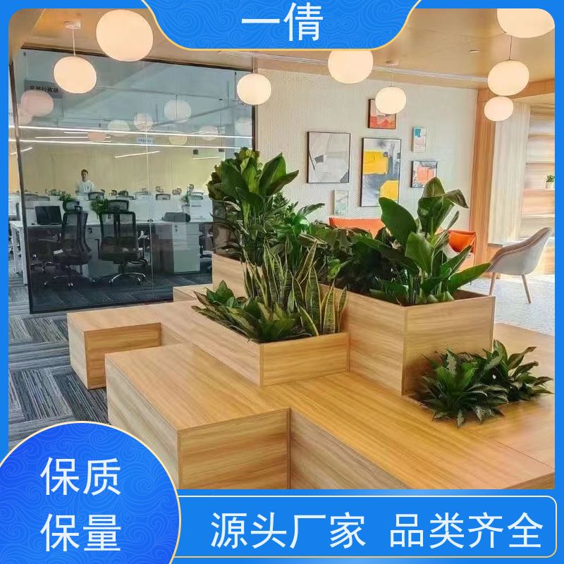 一倩花卉 室内 12寸盆四季桔 绿植租摆 种类繁多 规格齐全