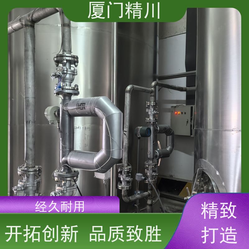 精川 锂电行业气体质量流量计 支持定制 有保障