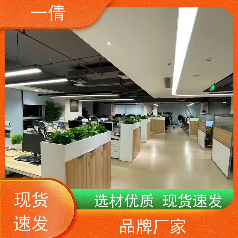 一倩花卉 深圳 金钱兜 绿植出售 桌面绿植 花木护理