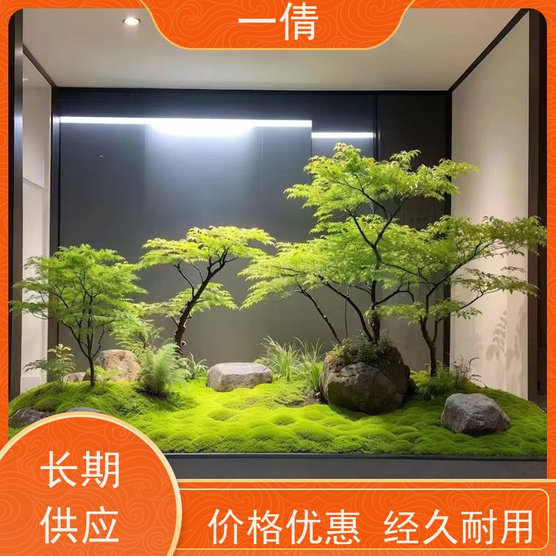 一倩花卉 前台 紫蝴蝶兰 绿植租赁 种类繁多 规格齐全