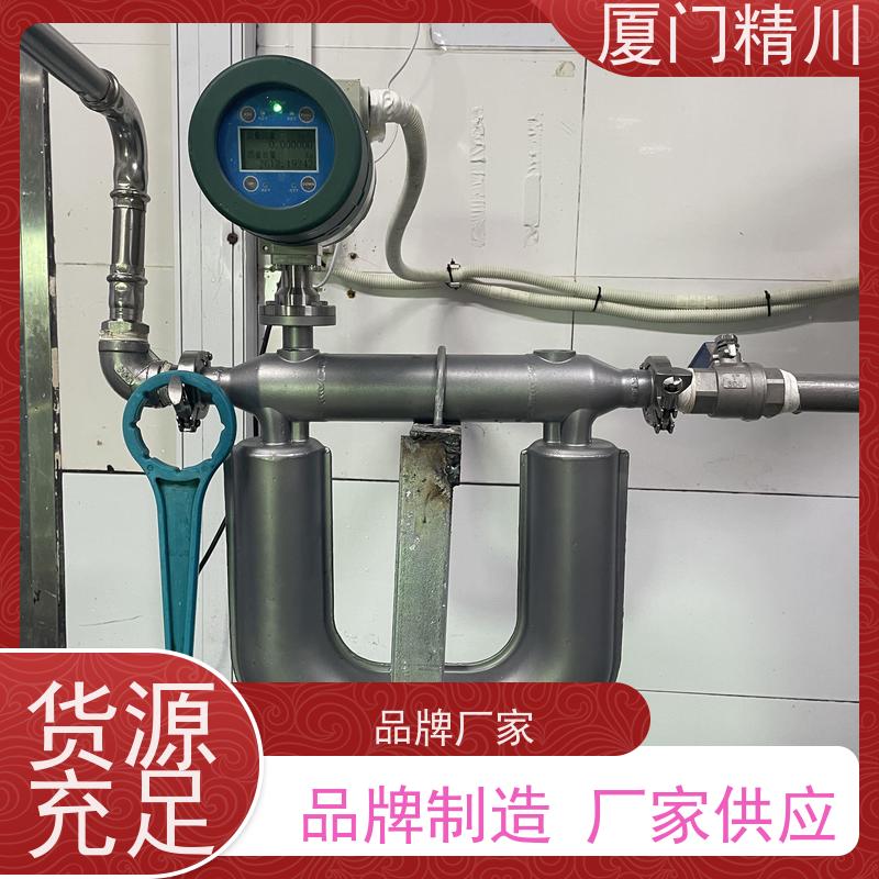 精川股份 食品厂小口径质量流量计 支持定制 省力