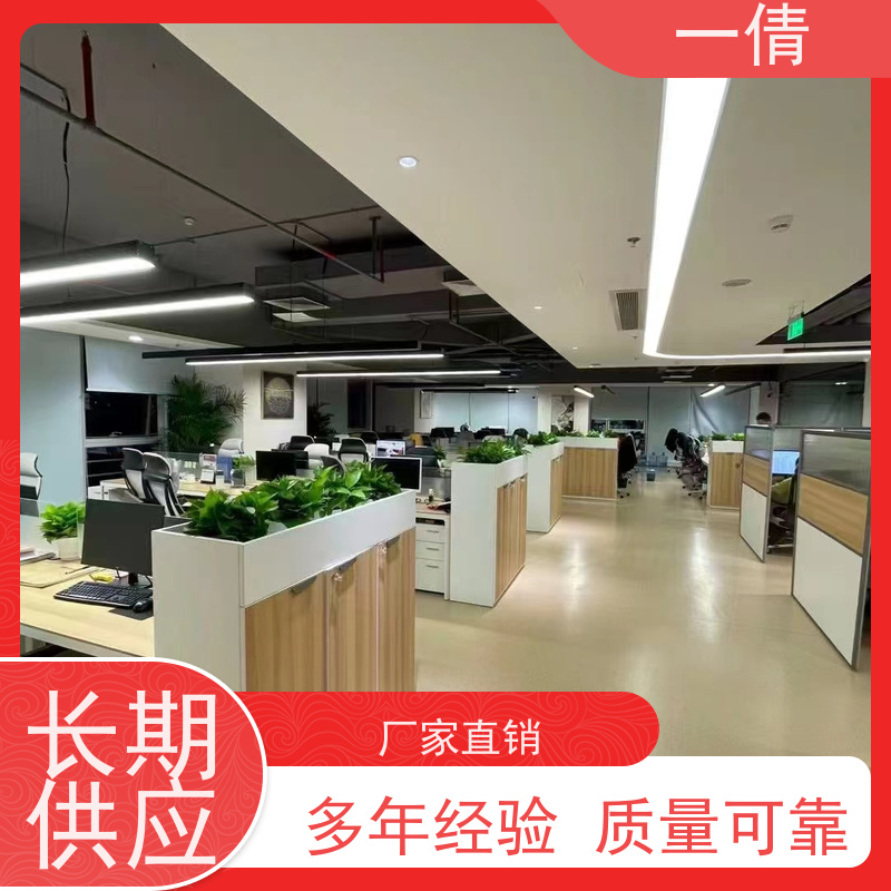 一倩花卉 室内 太阳神 绿植租摆 桌面绿植 花木护理