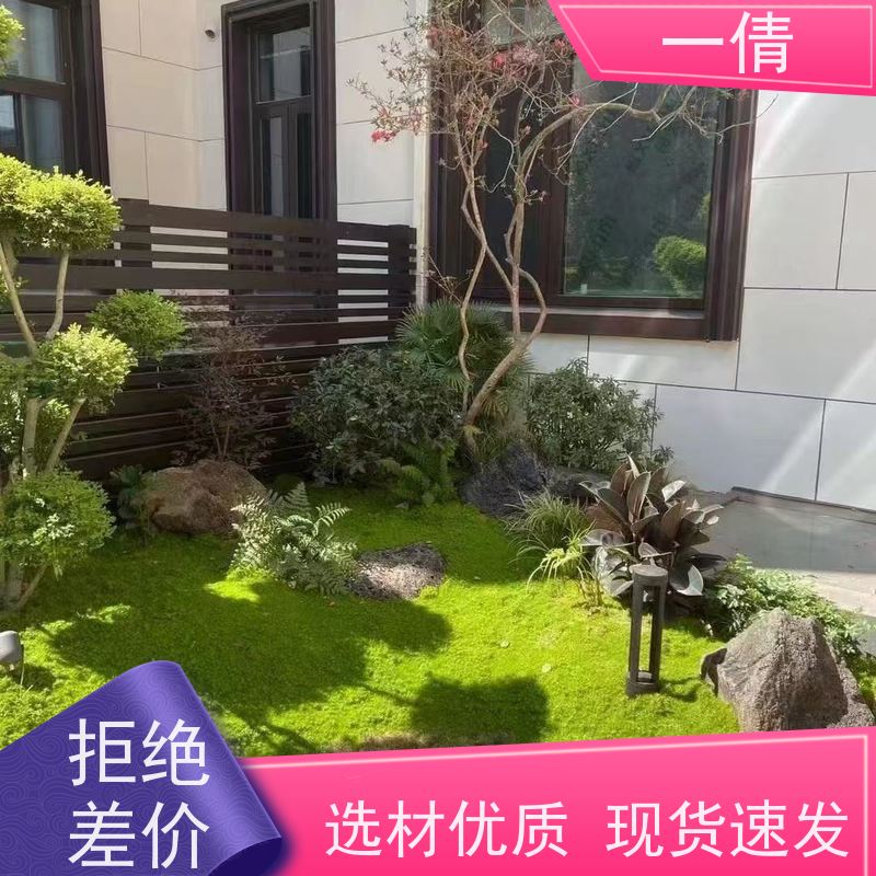 一倩花卉 室内 紫檀 绿植租赁 桌面绿植 花木护理
