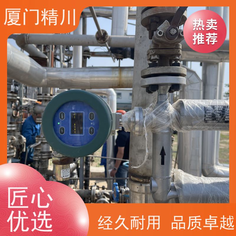精川 食品厂科里奥利质量流量计 接液316L材质 更放心