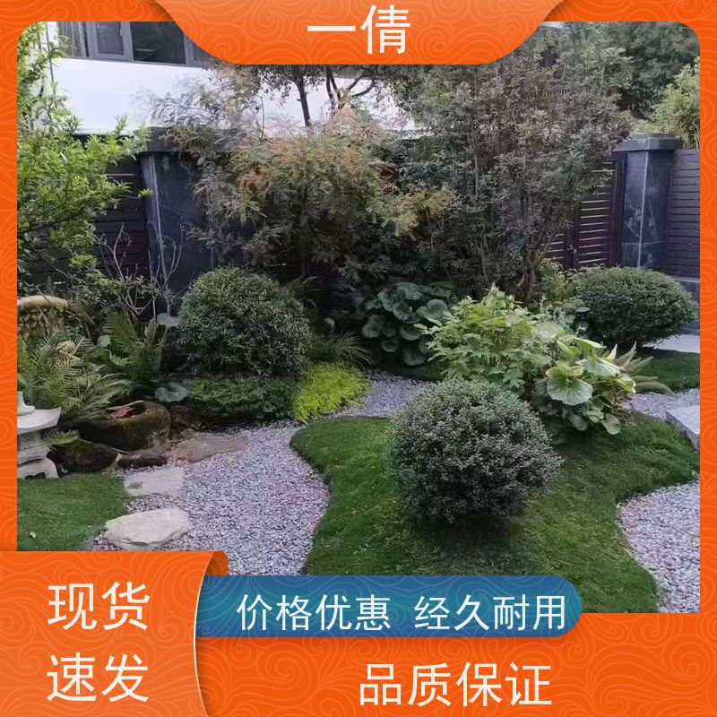 一倩花卉 室内 量天尺 绿植租摆 全城配送 上门养护