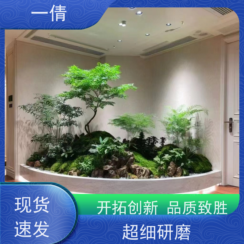 一倩花卉 室内 保罗 绿植租赁 种类繁多 规格齐全