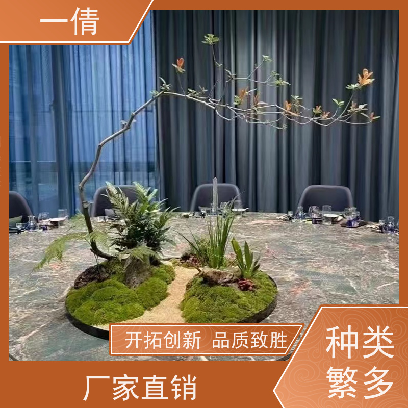 一倩花卉 办公室 也门铁 开业花篮租赁 全城配送 上门养护