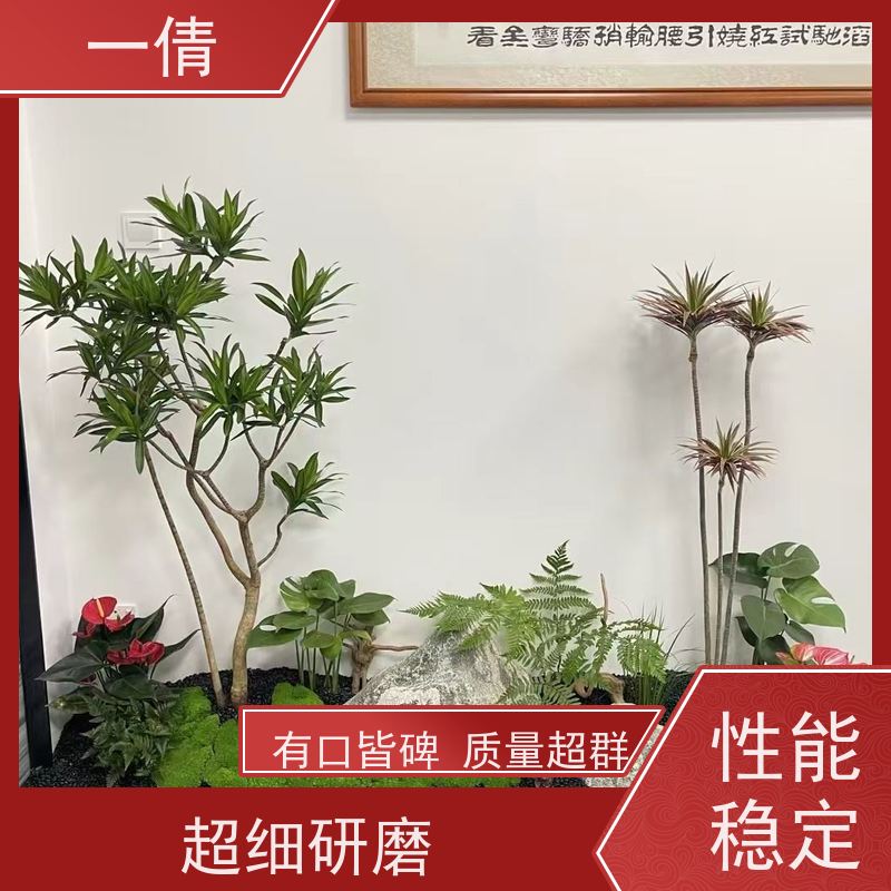 一倩花卉 室内 青叶铁 绿植出售 全城配送 上门养护