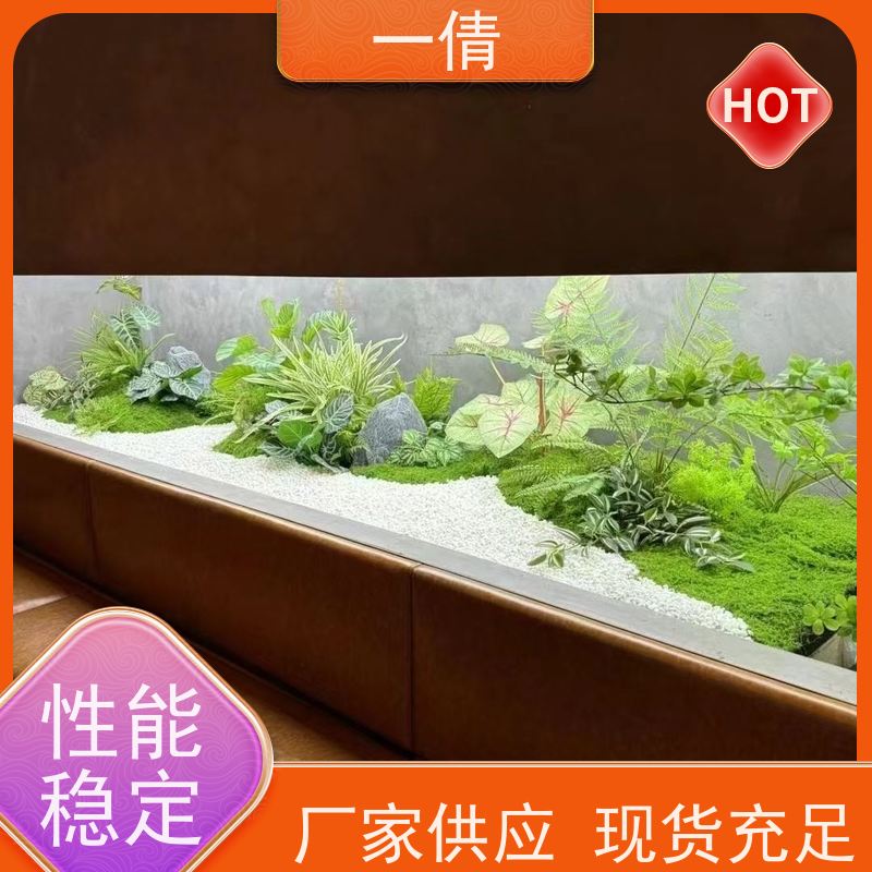 一倩花卉 办公室 60盆四季桔 花卉租赁 净化空气