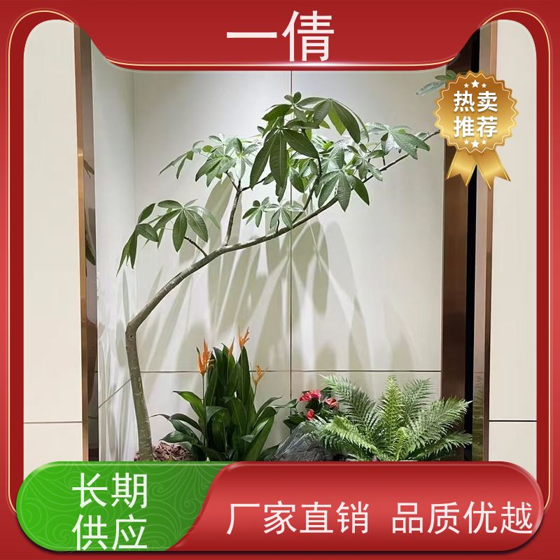 一倩花卉 深圳 春雨 绿植租赁 桌面绿植 花木护理
