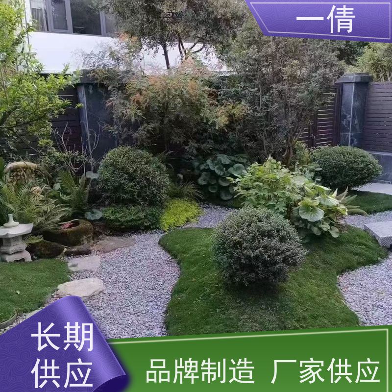 一倩花卉 室内 柠檬树 室内植物出租 桌面绿植 花木护理
