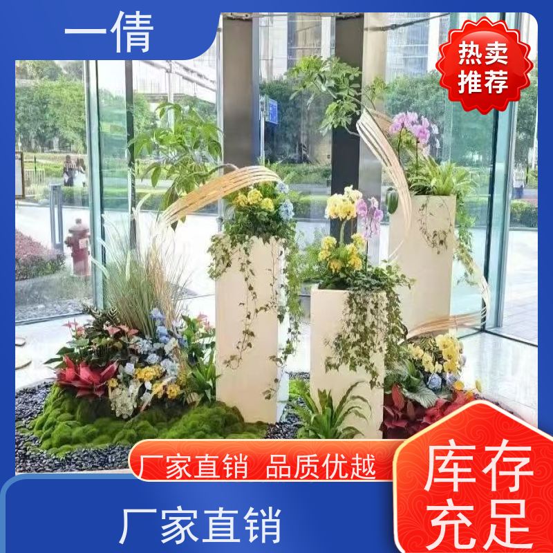 一倩花卉 前台 佛手 绿植租摆 全城配送 上门养护