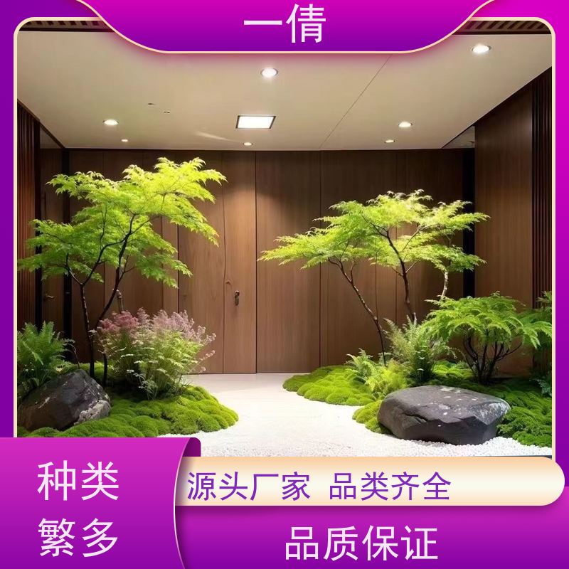 一倩花卉 办公室 树厥 花卉租赁 种类繁多 规格齐全