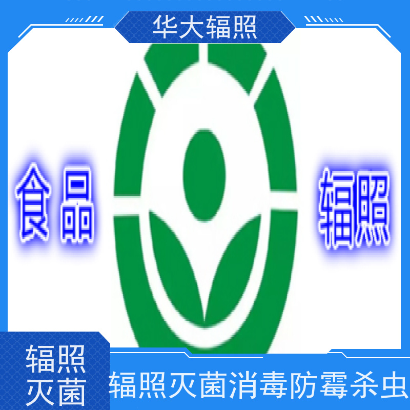 惠州华大 麦香鸡香辣味调味料 辐照杀灭芽孢菌