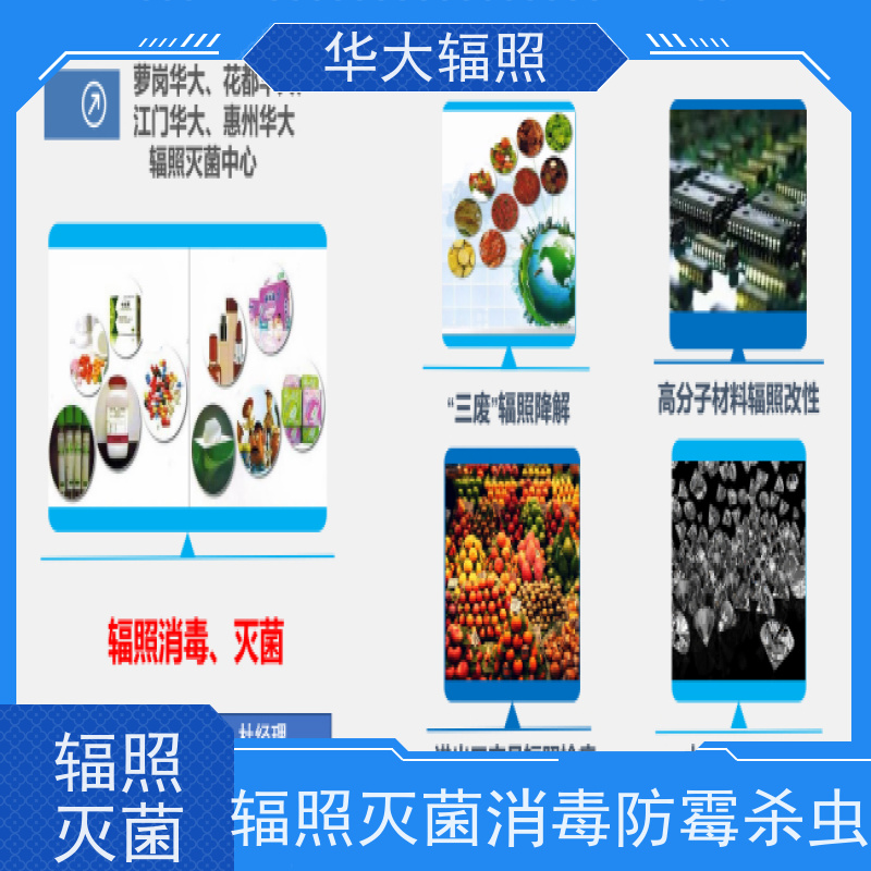 烟台中宠华大 麦香鸡香辣味调味料 杀灭微生物