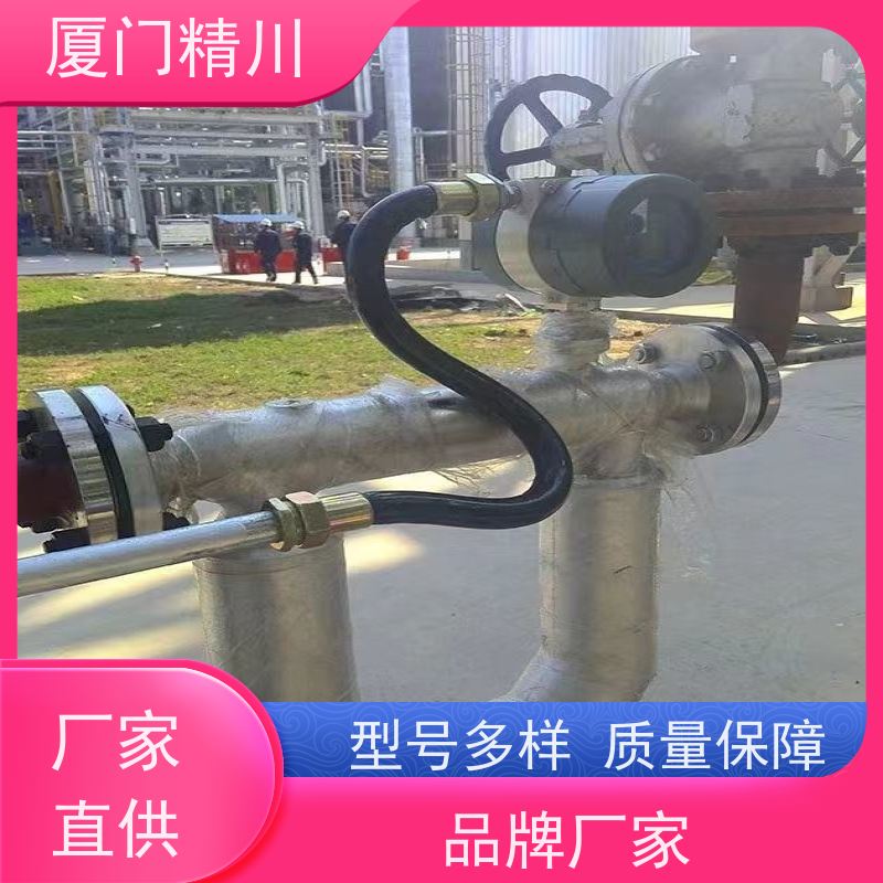 精川 制药厂气体质量流量计 连接方式支持定制 省心