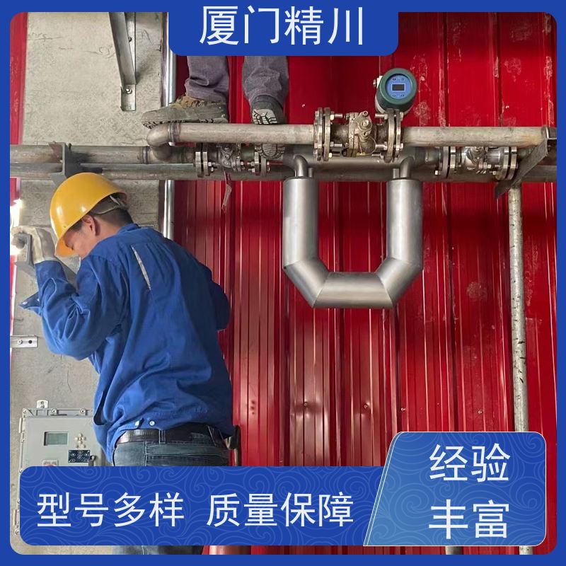 精川 高校小口径质量流量计 连接方式支持定制 省力