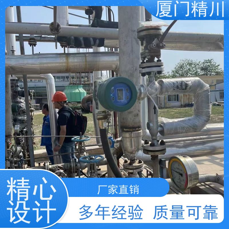 精川股份 设备配套小口径质量流量计 连接方式支持定制 更放心