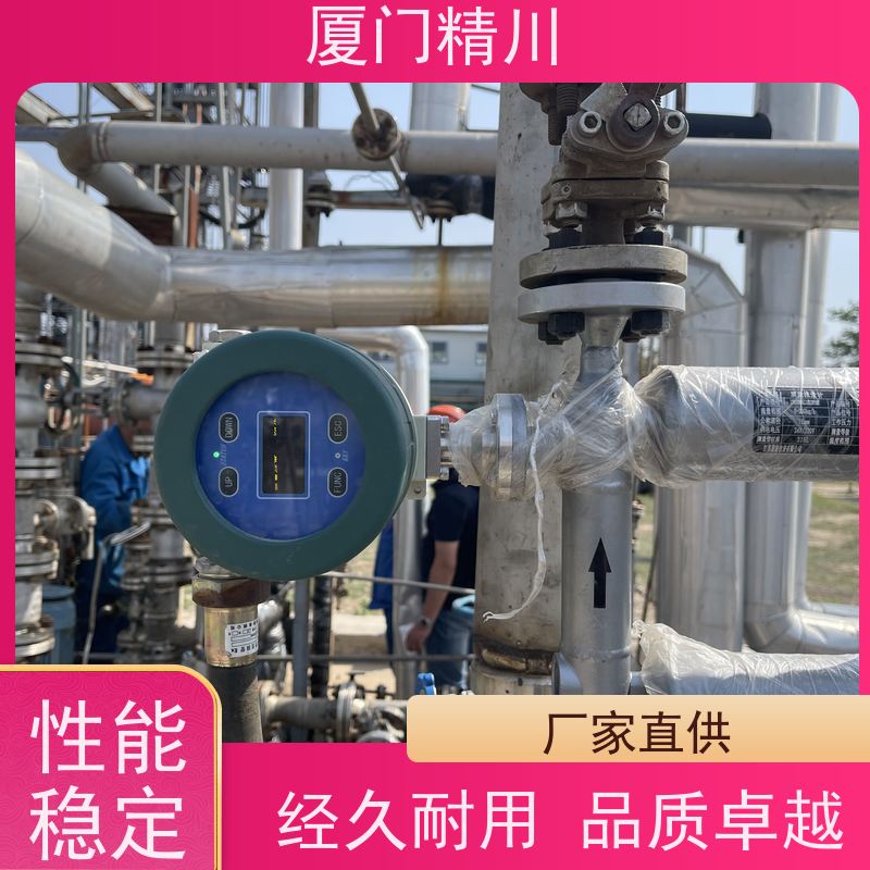 精川股份 半导体科氏力质量流量计 接液316L材质 有保障