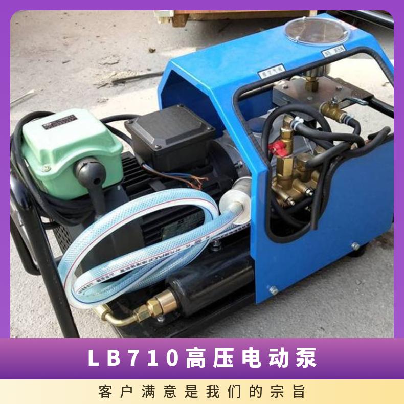 型号HMLHJ全自动硫化机打压LB-7*10高压电动泵