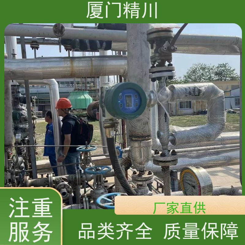精川股份 锂电行业U型质量流量计 支持定制 省力