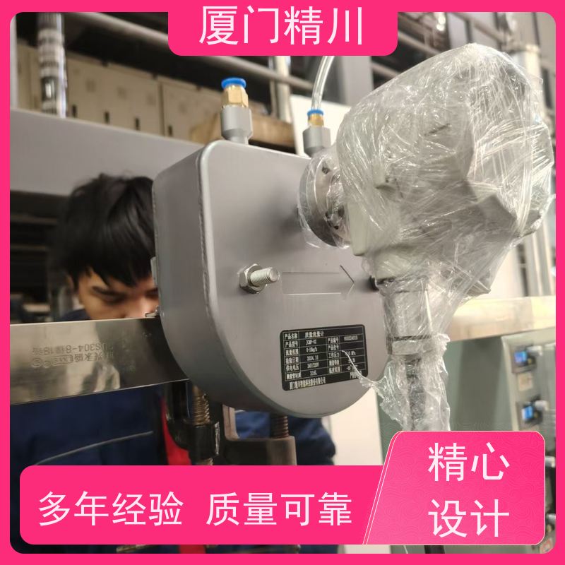 精川股份 半导体气体质量流量计 支持定制 更放心