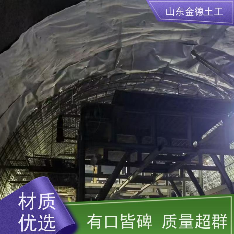 铁标2.5mm厚EVA防水板 易焊接施工快 人防工程二衬 库存充足