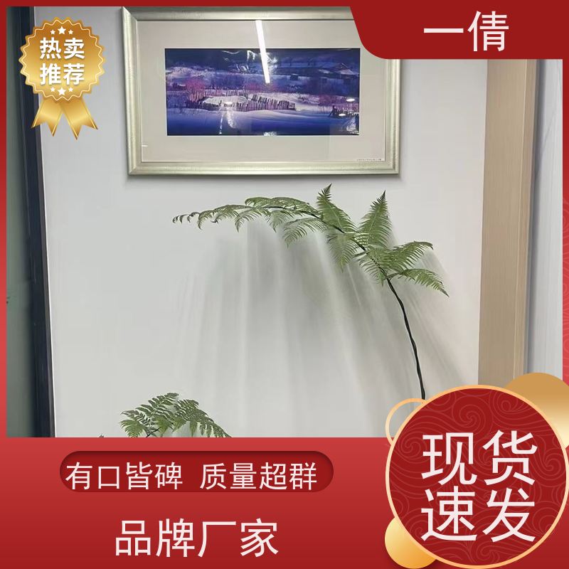 一倩花卉 办公室 超大冬青 室内植物出租 桌面绿植 花木护理