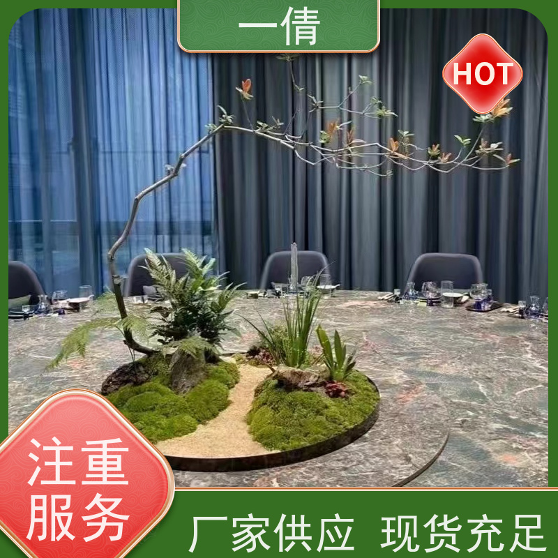 一倩花卉 室内 组合花镜 绿植出售 种类繁多 规格齐全