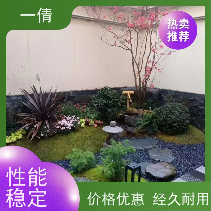 一倩花卉 室内 银斑葛 室内植物出租 种类繁多 规格齐全