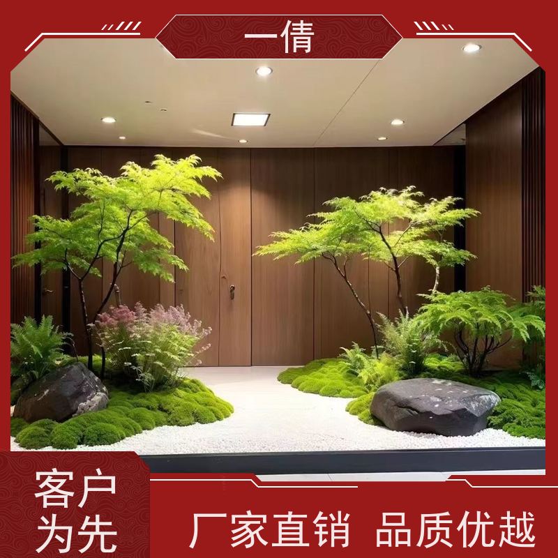 一倩花卉 室内 量天尺 绿植租赁 全城配送 上门养护