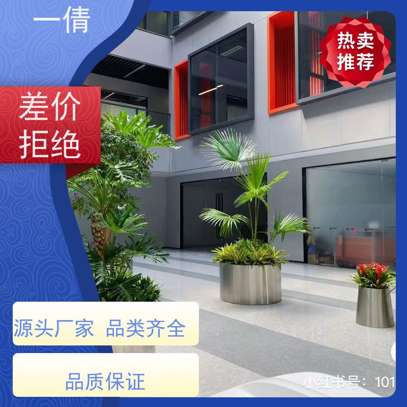一倩花卉 前台 7寸盆四季桔 花卉租赁 桌面绿植 花木护理