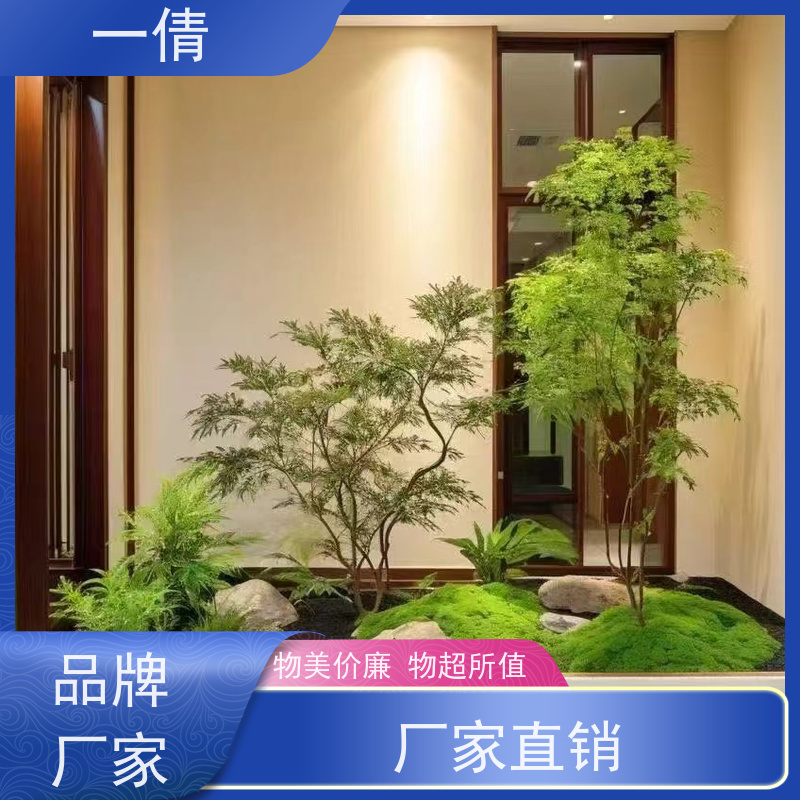 一倩花卉 前台 16寸盆四季桔 室内植物出租 种类繁多 规格齐全