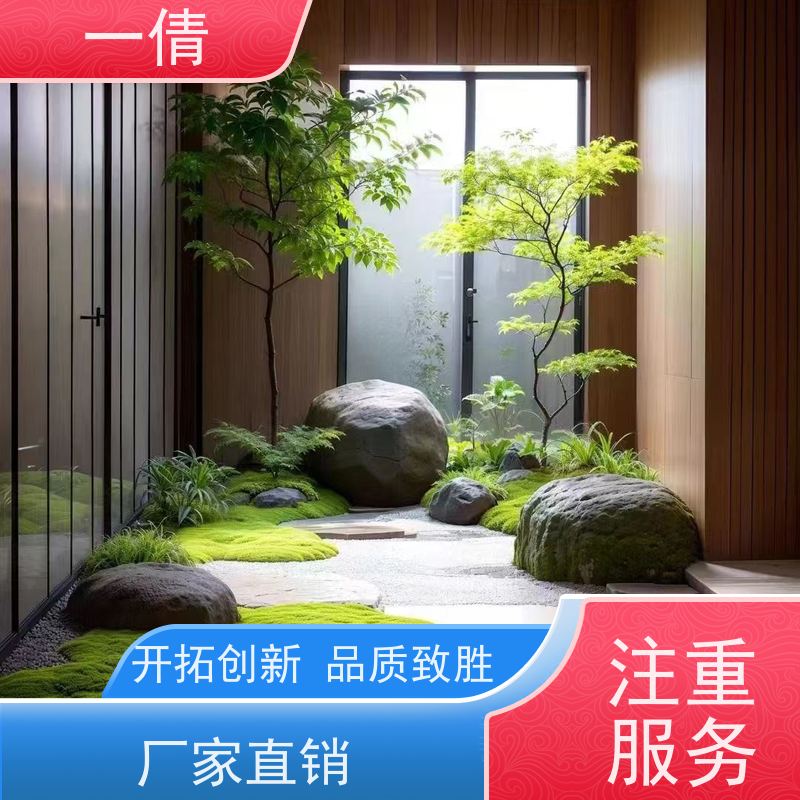 一倩花卉 深圳 70盆四季桔 绿植租摆 全城配送 上门养护