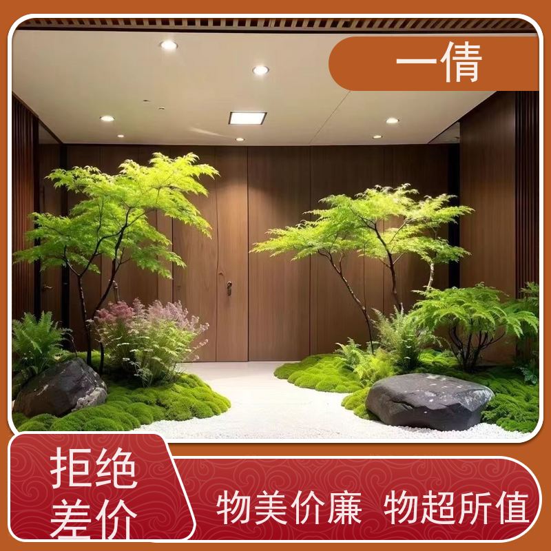 一倩花卉 室内 砖石翡翠 绿植出售 桌面绿植 花木护理