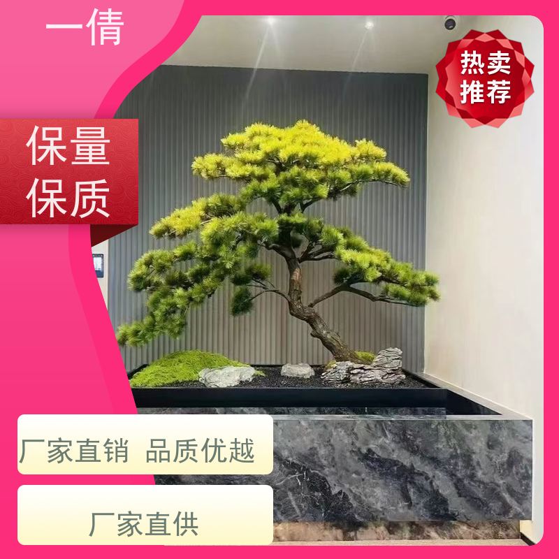 一倩花卉 室内 龟背 花卉租赁 全城配送 上门养护