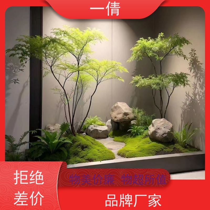 一倩花卉 室内 小慧兰 开业花篮租赁 种类繁多 规格齐全