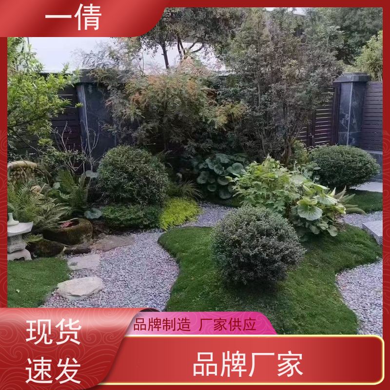 一倩花卉 室内 红玉珠 室内植物出租 种类繁多 规格齐全