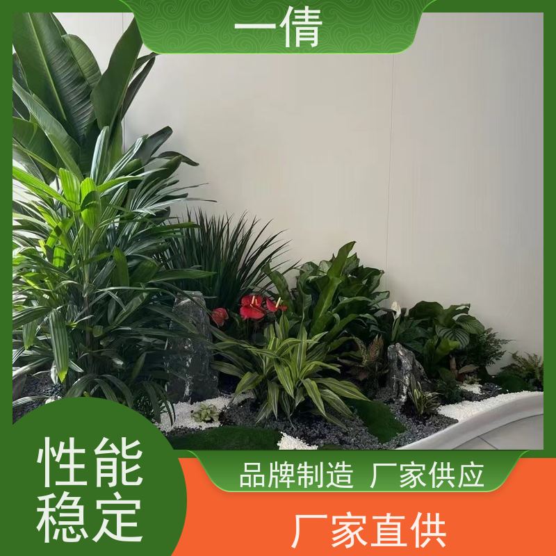 一倩花卉 办公室 铜钱草 花卉租赁 种类繁多 规格齐全