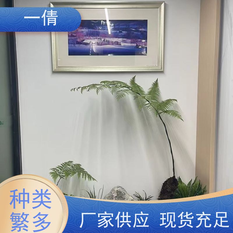 一倩花卉 前台 虎尾兰 花卉租赁 桌面绿植 花木护理