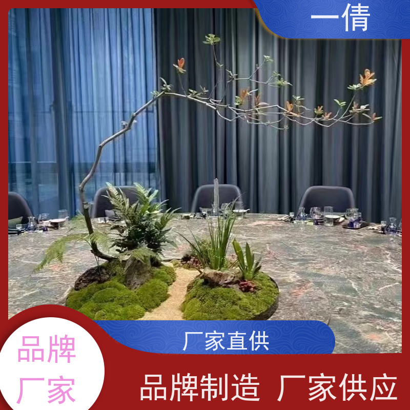 一倩花卉 室内 金钱兜 花卉租赁 桌面绿植 花木护理