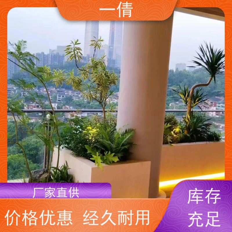 一倩花卉 室内 铜钱草 开业花篮租赁 全城配送 上门养护