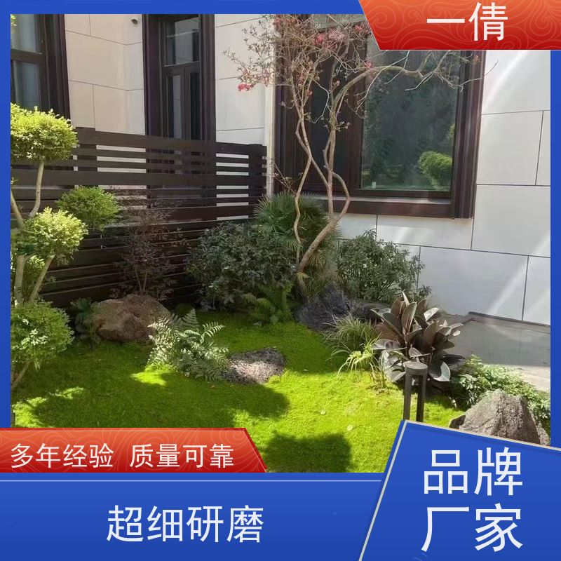 一倩花卉 室内 60盆四季桔 绿植出售 种类繁多 规格齐全