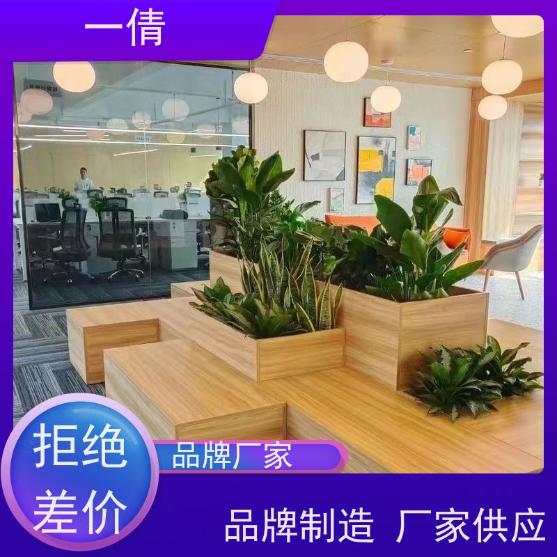 一倩花卉 室内 龙血树 室内植物出租 桌面绿植 花木护理