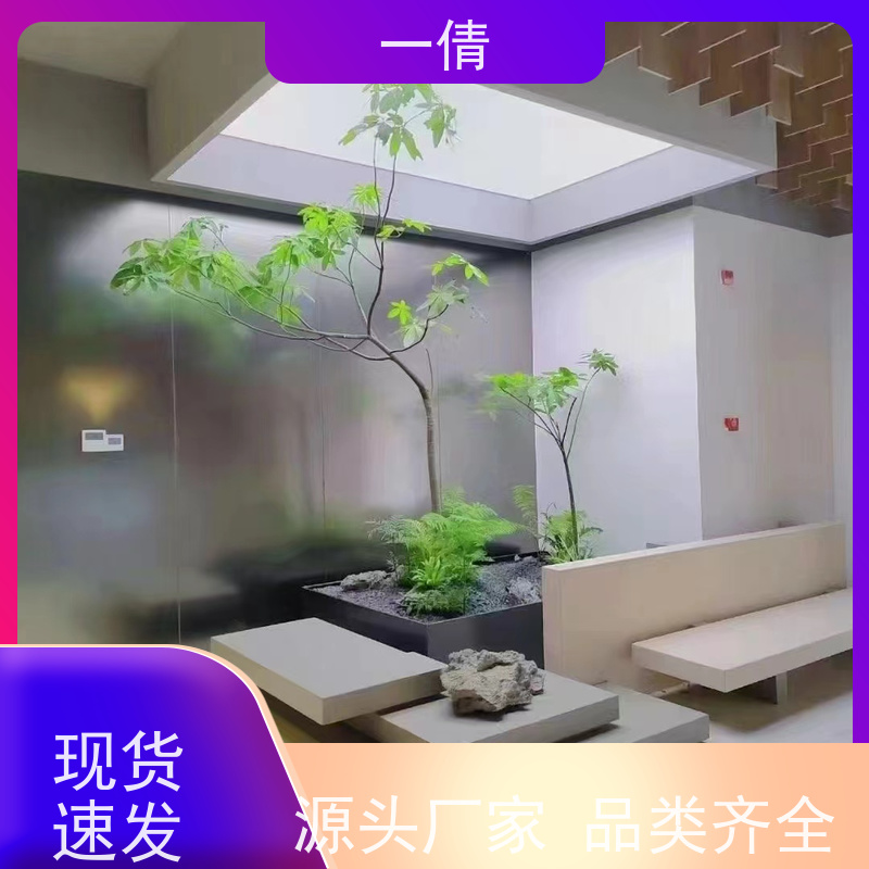 一倩花卉 办公室 天堂鸟 绿植租摆 全城配送 上门养护