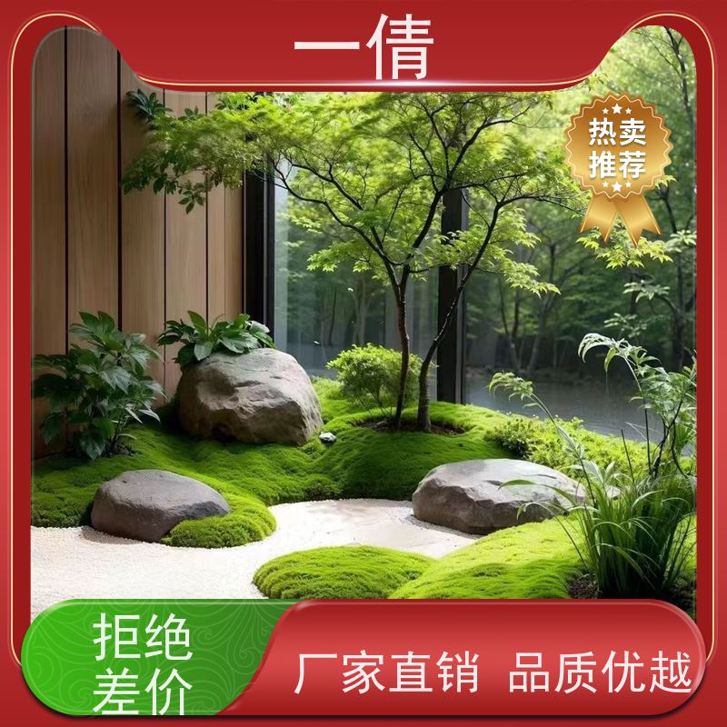 一倩花卉 深圳 凤尾竹 绿植租摆 种类繁多 规格齐全